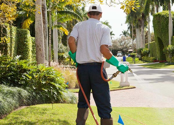 About Mooresboro NC Pest Control